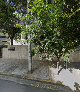 Bacelar Barbalho