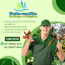 Bela-emília Jardinagem e Paisagismo