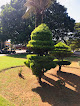 Biomã