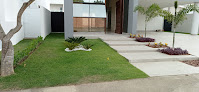 Caruá Jardinagem