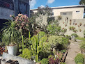 Casa das Plantas Tamarineira