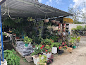Catamarã Recanto das Flores