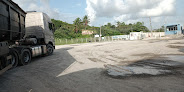 Cimento Forte