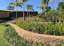 Cris Carvalho Paisagismo Jardins Verticais Recife