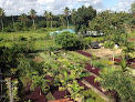 Dália Paisagismo