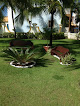 Florescer Flores e Jardins