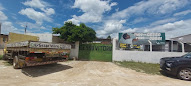Gesso Vitória