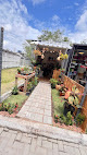 Jardim e pallet