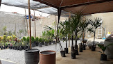 Jardim Formoso Paisagismo