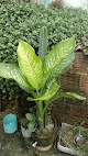 Jardim na varanda