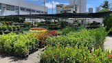 Kadosh Garden: Plantas, Jardinagem, Paisagismo, Adubos, Substratos Recife Pe