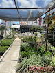 Loja Projeto Verde