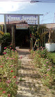 Nosso Jardim Paisagismo