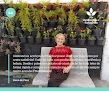 P.H Jardinagem & Paisagismo