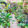 Planteria