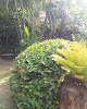 Q'Art Paisagismo
