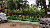 Quatro Estações Jardinagem