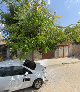 Quintal Vegetal