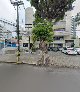 Rede Construir