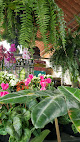 Sementeira Flor de