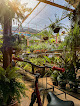 Sementeira Jardim Primavera