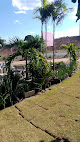 Sementeira Lane flores