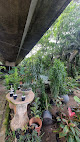 Sempre Verde paisagismo & plantas em Jaboatão