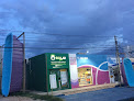 Sollar Green