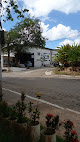 Tintas Frevo