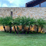 Tok Verde Paisagismo