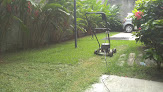 Tribo Verde Jardinagem & Paisagismo