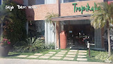 Tropikalia Paisagismo e Floricultura