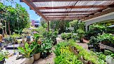 Villa Garden