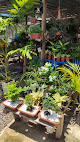 Vp jardins e paisagismo